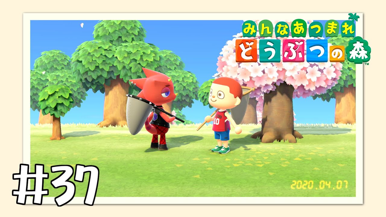 【実況】みんなあつまれ どうぶつの森 #37