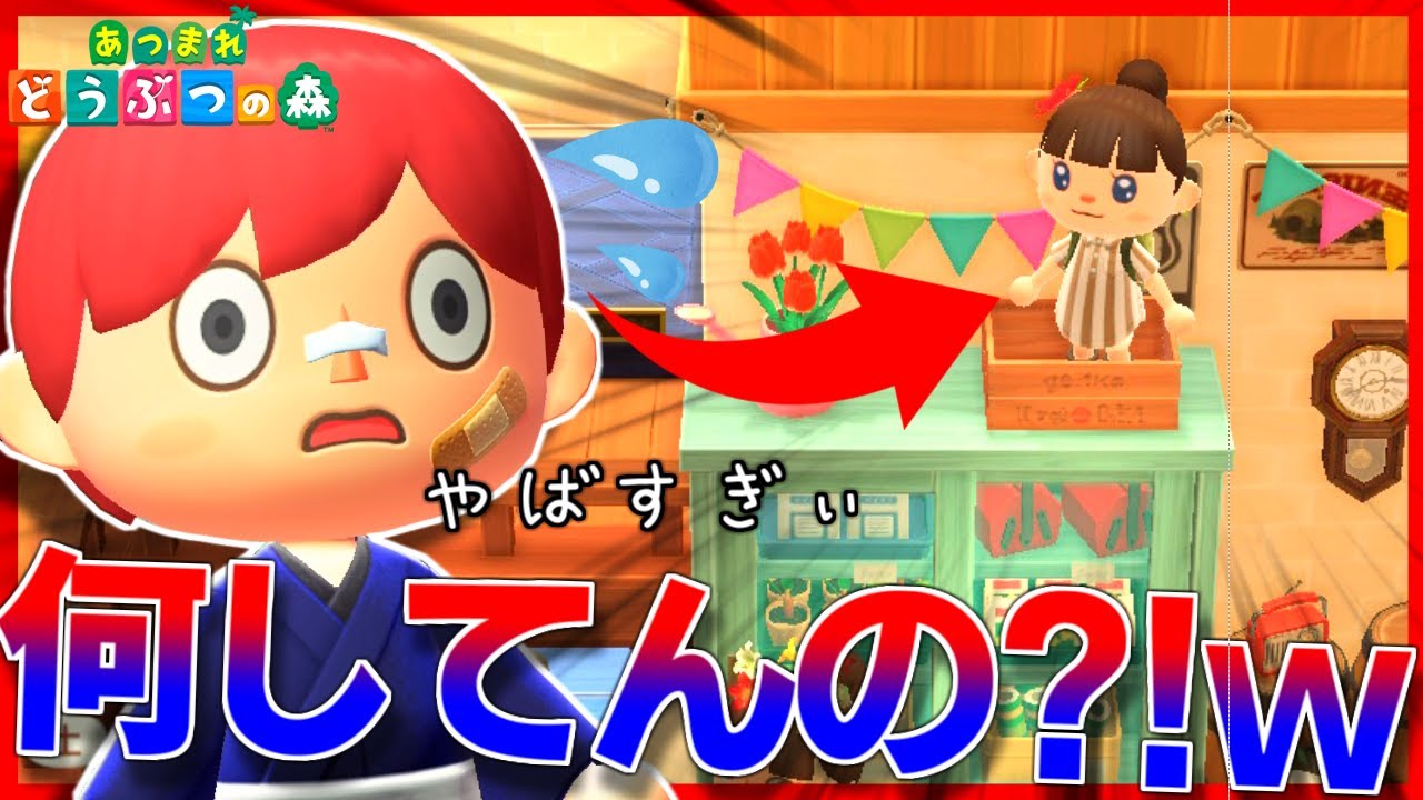 【あつ森】視聴者から募集したおもしろ可愛いシーンががツッコミどころ満載だったｗｗｗｗｗｗ【あつまれどうぶつの森】