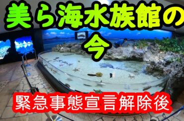 【沖縄】美ら海水族館の今！緊急事態宣言解除後