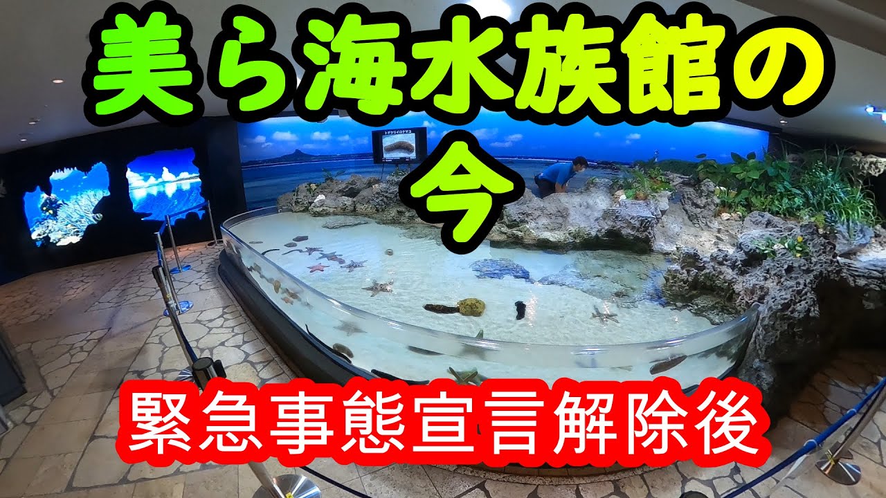 【沖縄】美ら海水族館の今！緊急事態宣言解除後