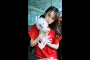 200701 AKB48 Team TP 劉語晴 浪Live 直播 (feat. 愛犬55)