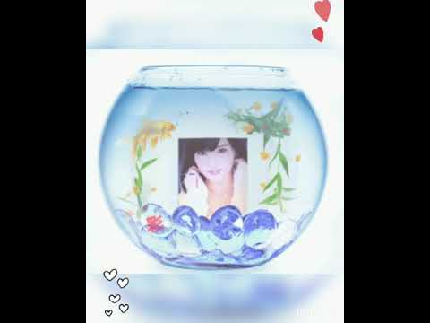 さや姉 山本彩 いろいろ NMB48 AKB48 棘 さや姉 山本彩 いろいろ NMB48 AKB48 棘