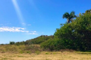 Kahala beach | 宇多田 ヒカル - COLORS