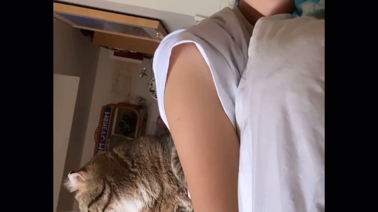 水原希子　インスタグラム　ストーリー　2020-7-03