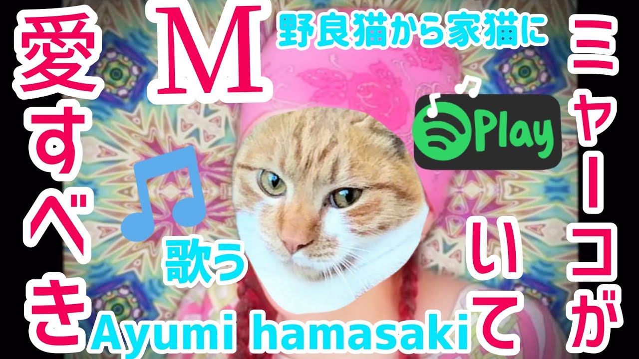 浜崎あゆみ ドラマ M 愛すべき人がいて TO BE 歌ってみた 野良猫の子猫が家猫になるまで 茶トラ猫みゃーこが保護猫になった歌 cat kitten ayumi hamasaki