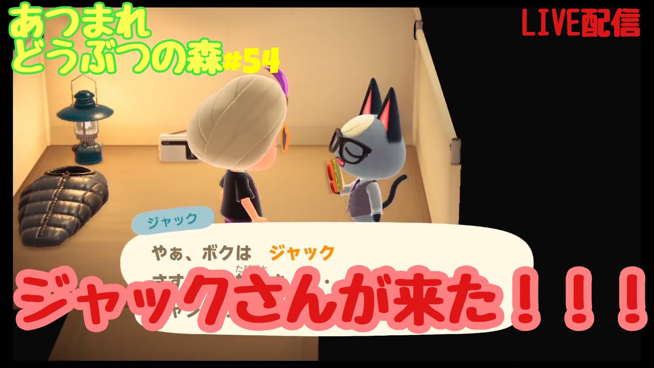 #54【あつまれどうぶつの森】出会いと別れ。【Switch】【あつ森】生配信