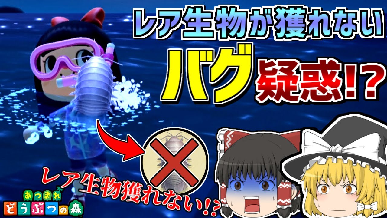 【あつ森】夏のアプデでバグ疑惑!?レアな海の幸が全く獲れない現象が発生!?【あつまれどうぶつの森】【ゆっくり実況】#29