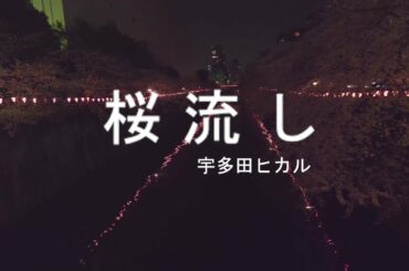 桜流し / 宇多田ヒカル ( cover)