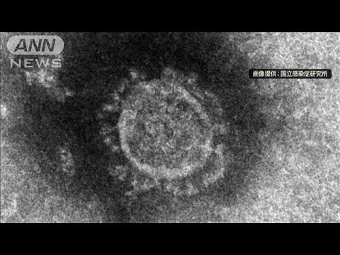 退院後も呼吸状態悪化・・・新型コロナ“後遺症”研究へ(20/07/10)