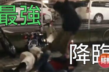 【死体蹴り】坂口拓、一流アクション　#ウェイブ　#矢地祐介　#朝倉未来