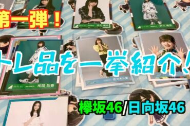 【欅坂46/日向坂46】トレ品紹介第一弾！