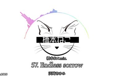 57. Endless sorrow / 浜崎あゆみ【ayuクリエイターチャレンジ】橋本ねこmix.
