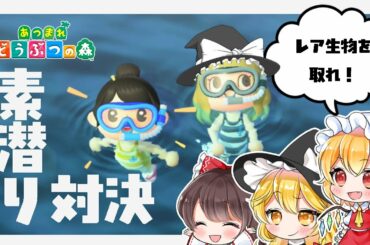 【あつまれ！どうぶつの森】霊夢と魔理沙で素潜り対決！！　#21【ゆっくり実況】【ぽんこつちゃんねる】