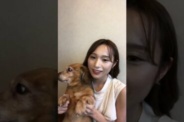 20200715 左伴彩佳 (AKB48 チーム8) Instagram Live