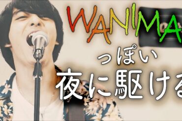 『夜に駆ける / YOASOBI』をWANIMAっぽくしてみた【夜に駆けるWANIMA】〈Covered by Alfred〉