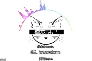 62. immature / 浜崎あゆみ【ayuクリエイターチャレンジ】橋本ねこmix.