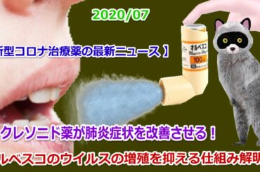 新型コロナウイルス 増殖を抑える仕組み解明 ❕【シクレソニド商品名）オルベスコ】が新型コロナの肺炎症状を改善させる！