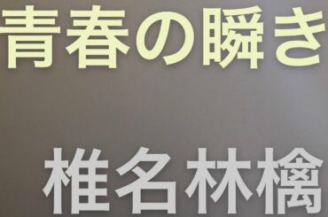 椎名林檎 / 青春の瞬き (bass cover)