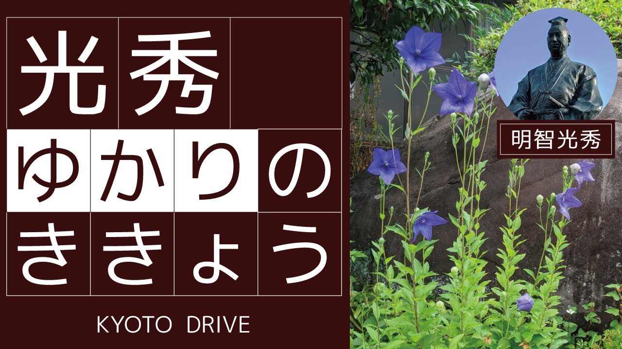 【KYOTO DRIVE】明智光秀大河ドラマ館～湯の花温泉～ききょうの里まで