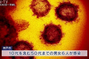 兵庫県内で13人が新型コロナウイルスに感染