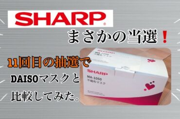 【SHARP】【マスク】まさかの当選❗️ダイソーのマスクと比較してみた！