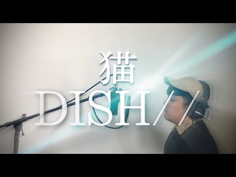 猫 / DISH// 【Covered by kakeru】