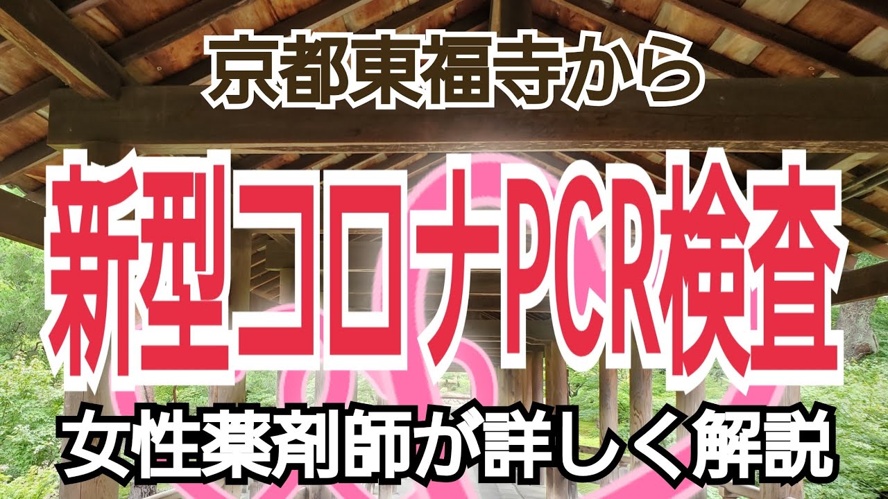 京都東福寺から【新型コロナPCR検査】女性薬剤師が解説