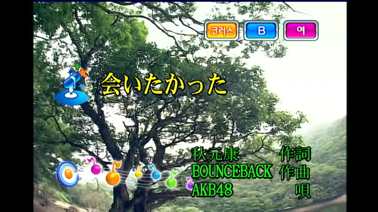 AKB48 - 会いたかった (KY 43308) 노래방 カラオケ