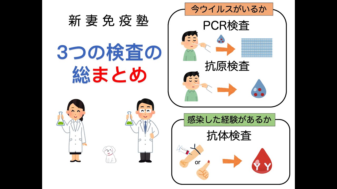 ⑳３つの検査の総まとめ
