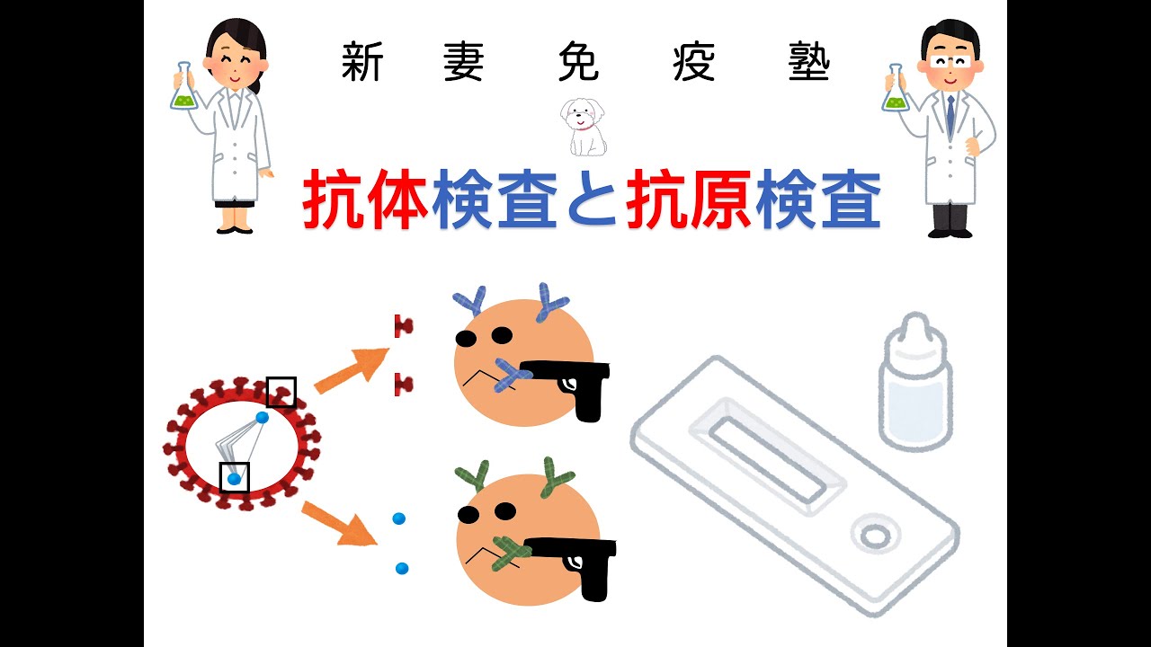 ⑲抗体検査と抗原検査