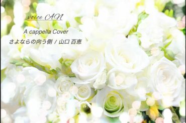 【A cappella Cover】 さよならの向う側 / 山口 百恵