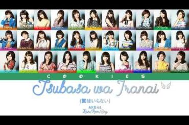 AKB48 - Tsubasa wa Iranai (翼はいらない) (Kan/Rom/Eng Color Coded Lyrics)
