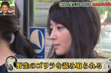 名探偵 Yayafa 名探偵 Yayafa