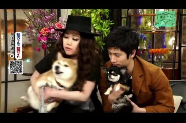 三浦春馬は子犬が大好き | アメリカ西海岸での犬との楽しい生活 | とてもかわいい