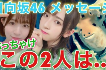 【日向坂46】全メンバー購読経験者が教える‼︎このメンバーの〝メッセージ〟はマジで...（新三期生情報も‼︎）