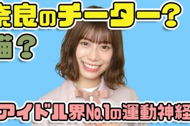 【日向坂46】アイドル界№1の運動神経『東村芽依』体育会TV 猫か？チーターか？　まとめ