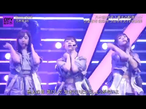 乃木坂46 『Route 246』 CDTVライブ!8月03日 乃木坂46 『Route 246』 CDTVライブ!8月03日
