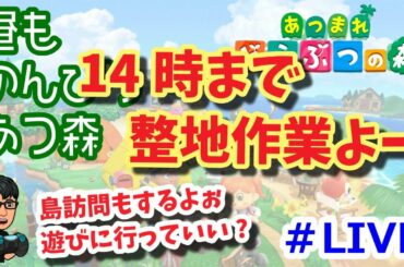 【あつまれどうぶつの森】8/5 昼ものんびりあつ森　14時まで整地作業の生放送　LIVE