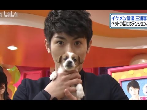 ヒルナンです 春馬VS小狗 |三浦春馬は子犬が大好き ヒルナンです 春馬VS小狗 |三浦春馬は子犬が大好き