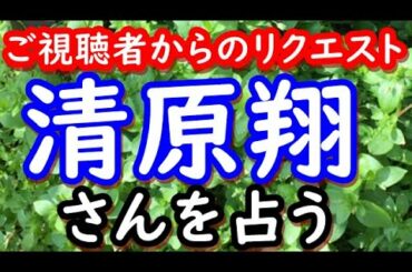 【占い】俳優　清原翔さんを占う