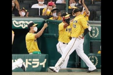 ✅  阪神高橋遥人投手（24）が今季初登板初先発で7回11奪三振3安打無失点と快投し、19年8月23日ヤクルト戦（神宮）以来349日ぶりとなる白星をゲットした。矢野… - 日刊スポーツ新聞社のニュース