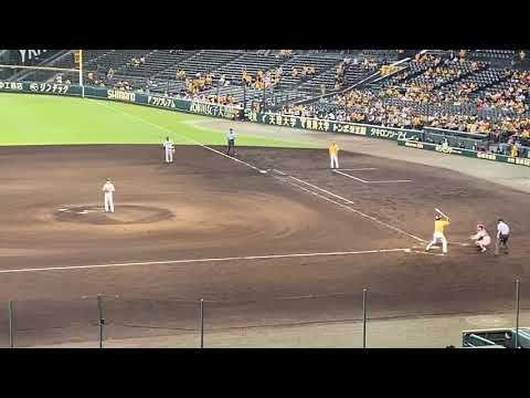 【巨人】 投手、増田大輝