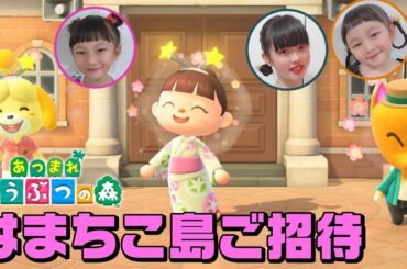 【生配信】どうぶつの森「はまちこ島ご招待」