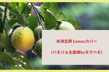 Lemon 米津玄師　アンナチュラル主題歌をタクシー運転手がハモリ構成して一曲全部歌ってます