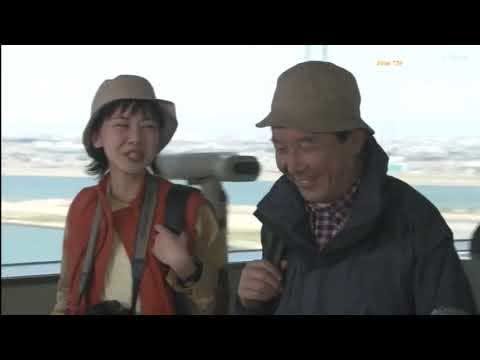 橋爪功・・ドラマ・・旅行作家・茶屋次郎2「長良川殺人事件」 橋爪功・・ドラマ・・旅行作家・茶屋次郎2「長良川殺人事件」