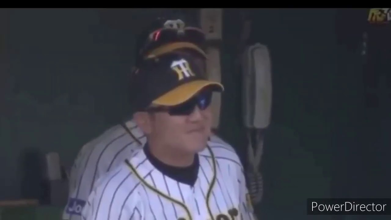 新垣結衣　heavenly days 〜阪神タイガースメッセンジャー引退試合バージョン〜