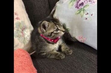 真凛ちゃん^ - ^