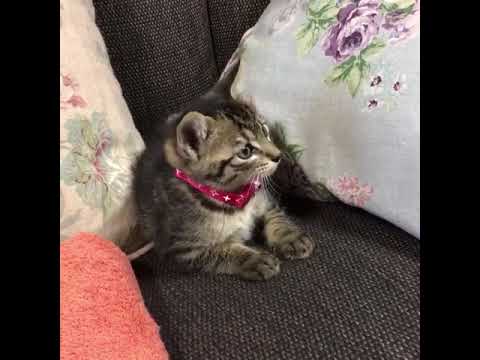 真凛ちゃん^ – ^ 真凛ちゃん^ - ^