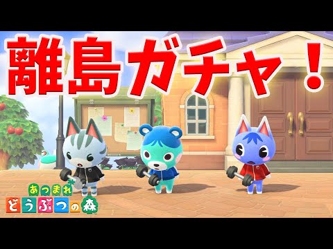 【あつ森】600連離島ガチャ!想像以上の長期戦でラムネちゃんが出る気がしないんだけど・・・【 あつまれどうぶつの森/離島ガチャ/島整備//夢見の館/夢訪問/ちゃちゃまる/ジャック】 【あつ森】600連離島ガチャ!想像以上の長期戦でラムネちゃんが出る気がしないんだけど・・・【 あつまれどうぶつの森/離島ガチャ/島整備//夢見の館/夢訪問/ちゃちゃまる/ジャック】
