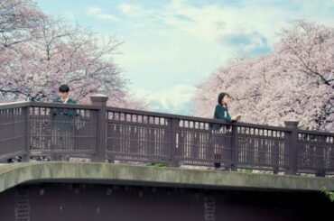 너의 췌장을 먹고 싶어 君の膵臓をたべたい OST 공병문고 共病文庫 1시간